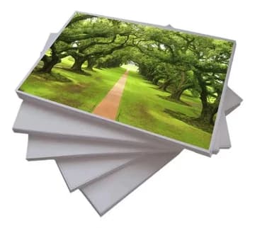 Papel Adesivo Vinil Branco Brilho